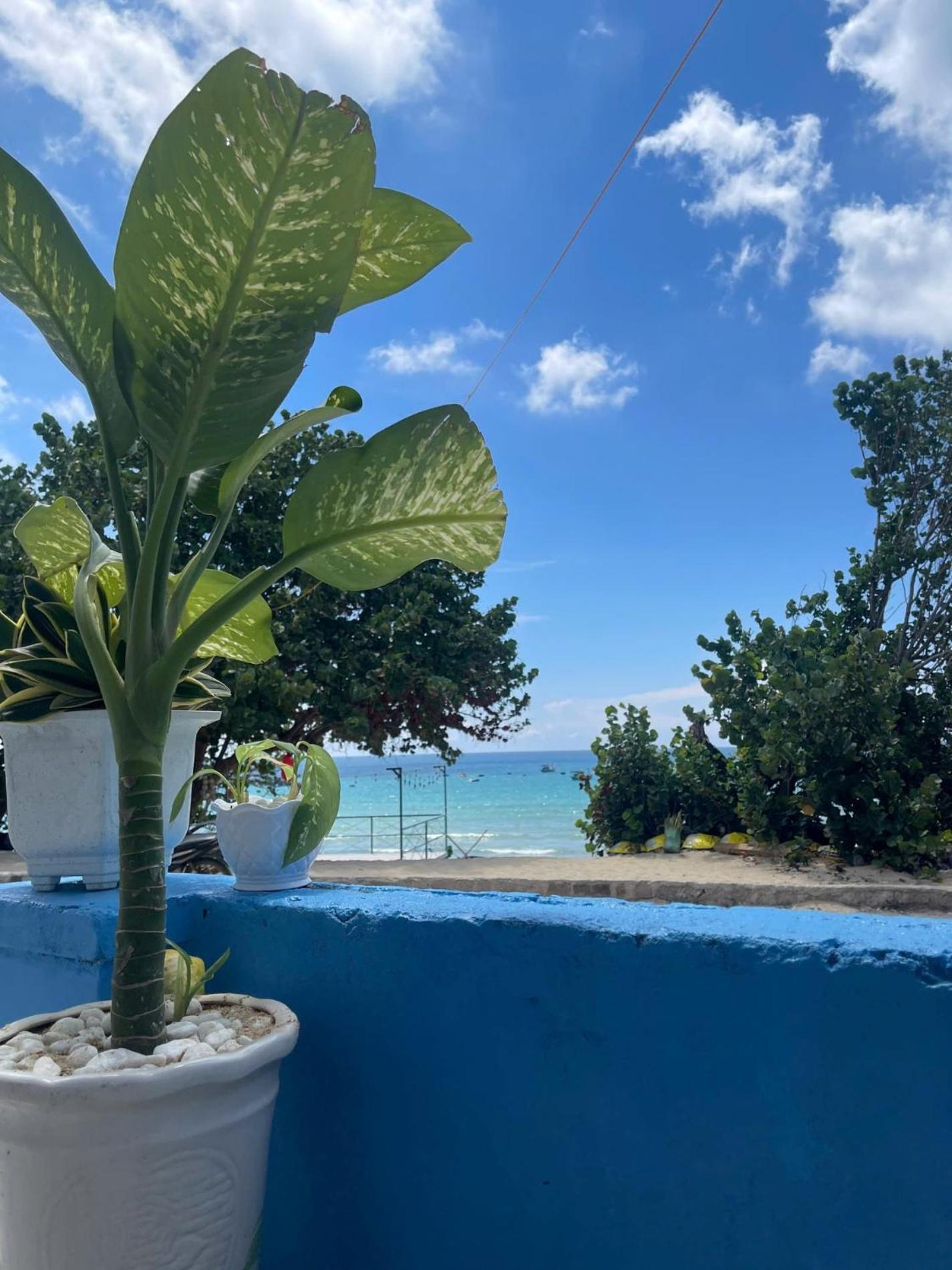 San Ho Homestay Phu Cat Eksteriør bilde